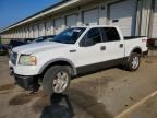 2006 FORD F150