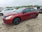 2010 NISSAN ALTIMA