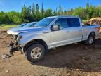 2017 FORD F150