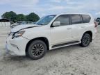 2019 LEXUS GX