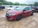 2017 NISSAN MAXIMA