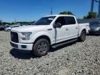2016 FORD F150