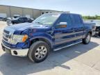 2011 FORD F150