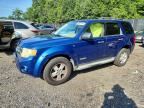2008 FORD ESCAPE