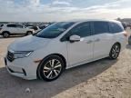 2022 HONDA ODYSSEY