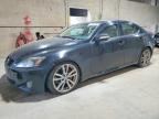 2006 LEXUS IS