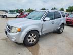 2010 FORD ESCAPE