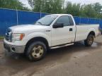 2010 FORD F150