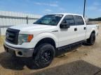 2014 FORD F150
