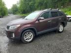 2014 KIA SORENTO
