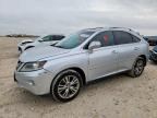 2013 LEXUS RX