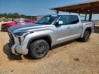 2025 TOYOTA TUNDRA