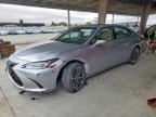 2024 LEXUS ES 350