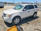 2009 FORD ESCAPE