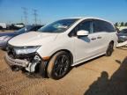 2024 HONDA ODYSSEY