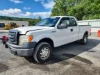 2010 FORD F150