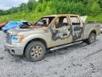 2010 FORD F150