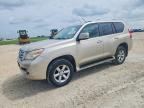 2010 LEXUS GX