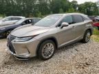 2022 LEXUS RX