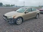 2009 HONDA ACCORD