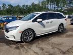 2023 HONDA ODYSSEY