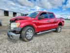 2011 FORD F150