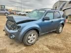 2011 FORD ESCAPE