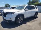 2024 HONDA PILOT