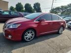 2010 LEXUS HS