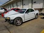 2004 FORD MUSTANG