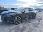 2023 LEXUS RX 350