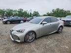 2020 LEXUS IS