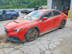 2024 SUBARU WRX