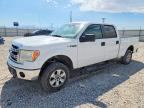 2014 FORD F150