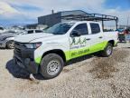 2024 CHEVROLET COLORADO