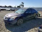 2010 NISSAN ALTIMA