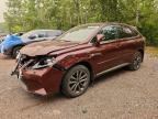 2013 LEXUS RX