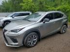 2020 LEXUS NX