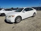 2009 TOYOTA CAMRY
