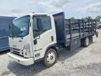2023 ISUZU NPR HD