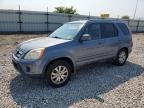 2005 HONDA CR-V