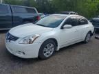 2010 NISSAN ALTIMA