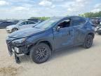 2025 LEXUS NX