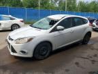 2013 FORD FOCUS