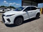 2021 LEXUS RX