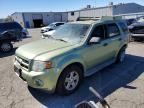 2009 FORD ESCAPE