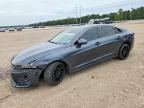 2024 KIA K5