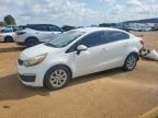 2017 KIA RIO