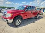 2013 FORD F150