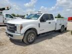 2019 FORD F350